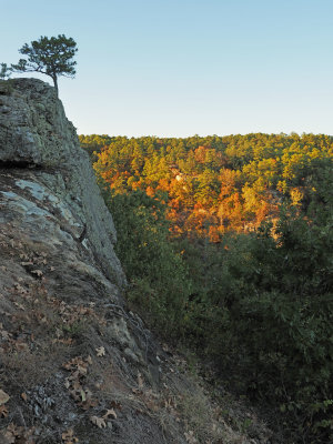 PA175534.jpg