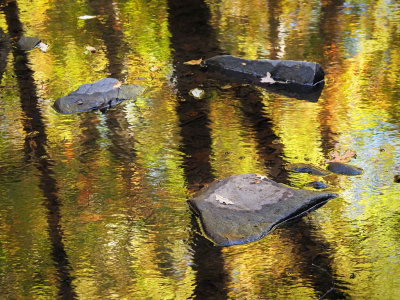 PA185587 - Fall Reflections.jpg