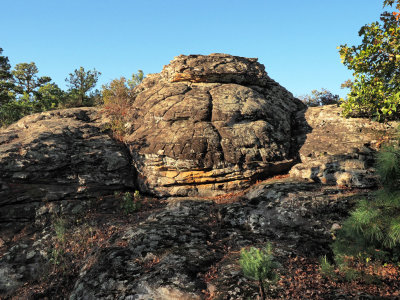 PA185858 - Gorilla Face.jpg