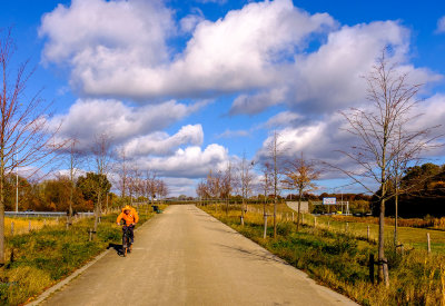 Cyclist