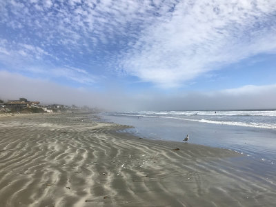 Cayucos