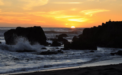 cayucos