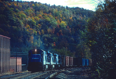 yb26267.jpg