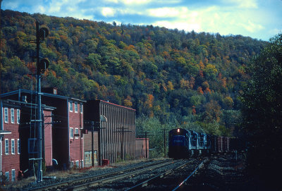 yb26271.jpg