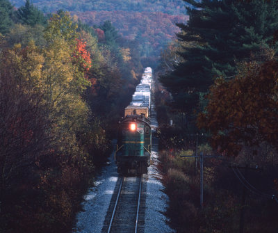 yc26300.jpg