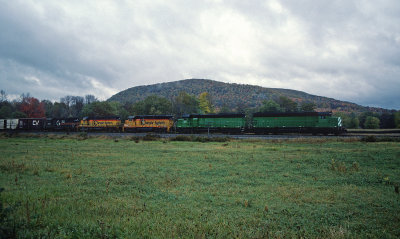 yd26209.jpg
