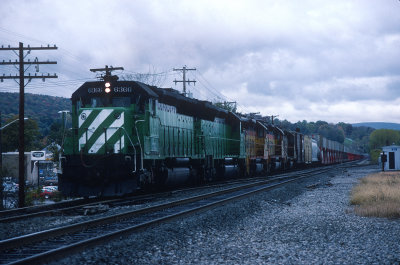yd26213.jpg