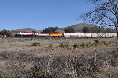 cfnr3254.jpg