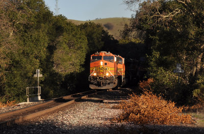 em3292.jpg