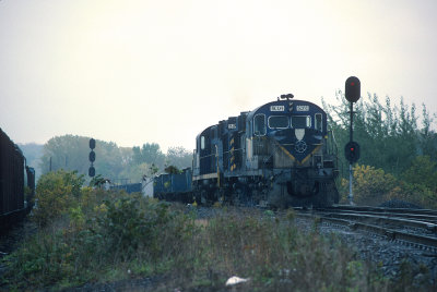 ye26376.jpg