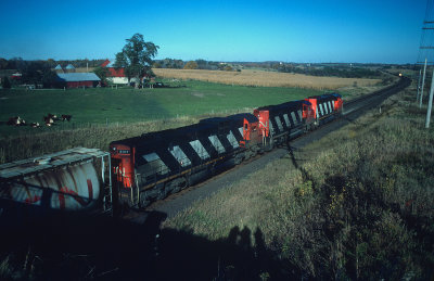 yf26452.jpg