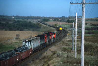 yf26453.jpg