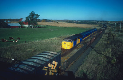 yf26455.jpg
