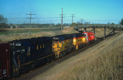 yf26460.jpg