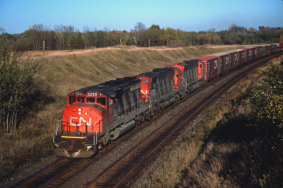 yf26463.jpg