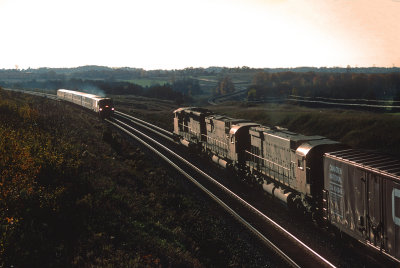 yf26465.jpg