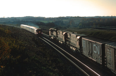 yf26466.jpg