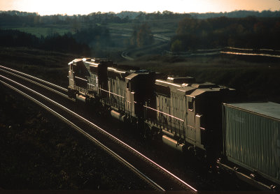yf26471.jpg