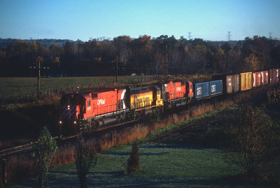 yg26484.jpg
