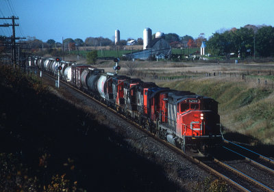 yg26496.jpg