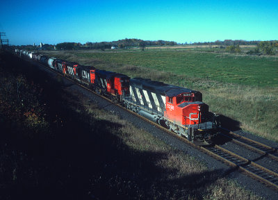 yg26498.jpg