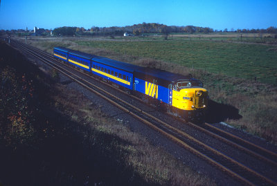 yg26500.jpg