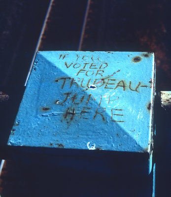 yf26449.jpg