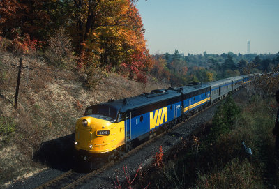 yi26517.jpg