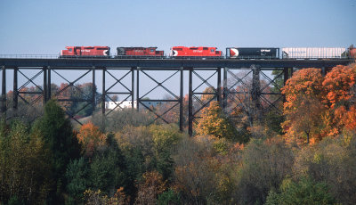 yj26535.jpg
