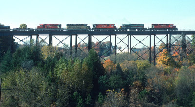 yj26539.jpg