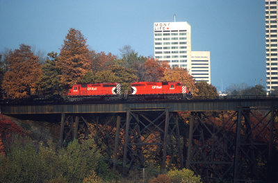 yj26543.jpg