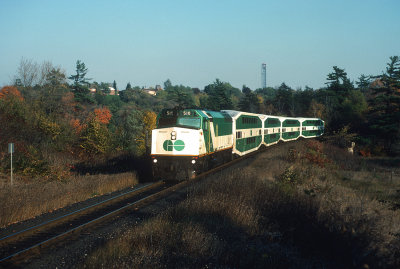 yj26541.jpg