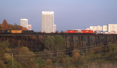 yj26545.jpg
