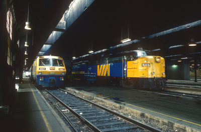 yk26569.jpg