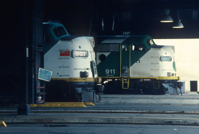 yl26605.jpg