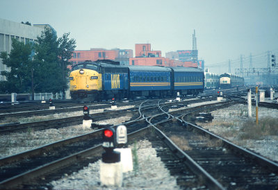 ym26625.jpg