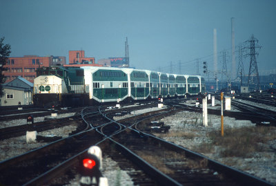 ym26629.jpg