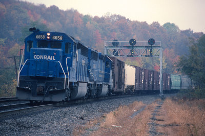 yp26706.jpg