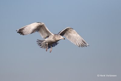 g12/20/1153920/3/170415900.UTIK62O2.jpg