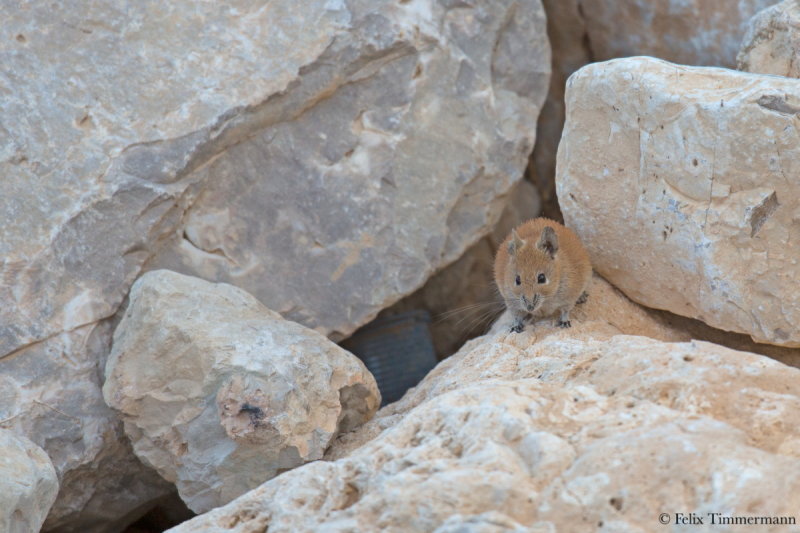 DPP_00000604.JPG