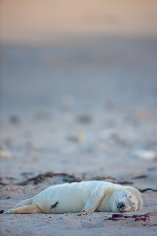 DPP_00000671.JPG
