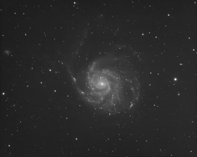 M101, the Pinwheel Galaxy