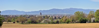 Panorama depuis les Collines de Riedisheim