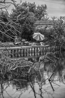 _DSC3495B&W.jpg