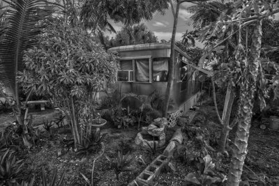 _DSC3637-2B&W.jpg
