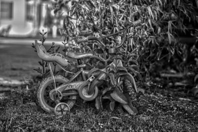 _DSC3863B&W.jpg