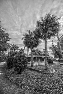 _DSC3879-2B&W.jpg