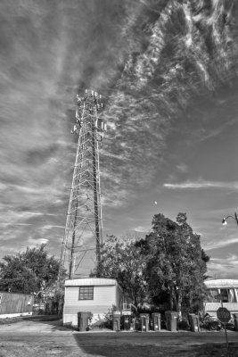 _DSC3948B&W.jpg