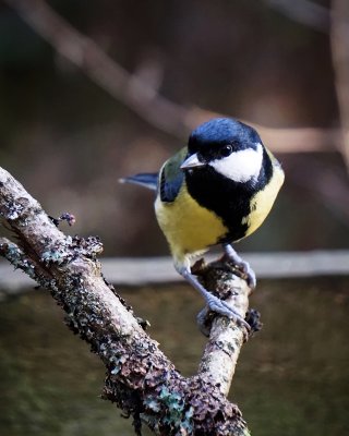 g12/20/2329920/3/171373569.Rj8tqh5b.jpg