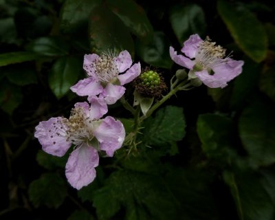 g12/20/2329920/3/171910801.5Eo9fFLl.jpg